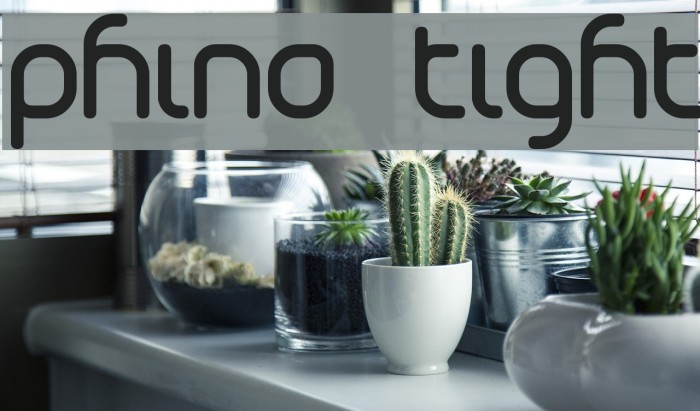 Phino Tight Font examples