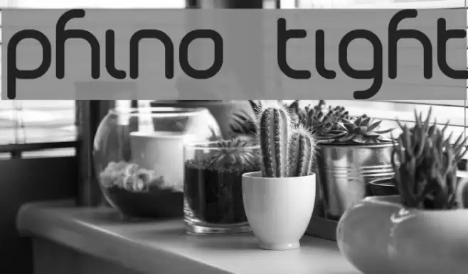 Phino Tight フォント examples