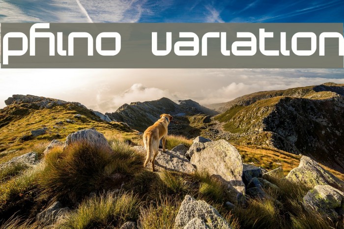 Phino Variation Font examples