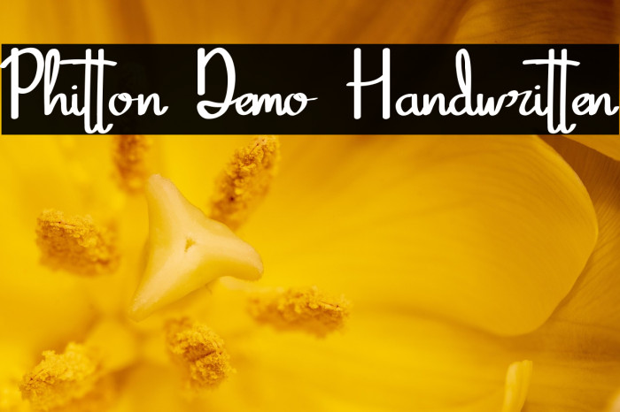 Phitton Demo Handwritten Example 2