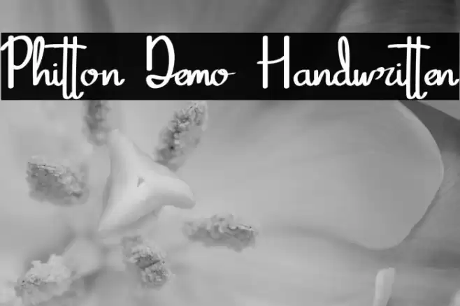 Phitton Demo Handwritten Fuentes examples