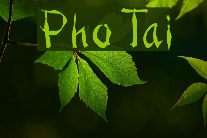 Pho Tai Font examples