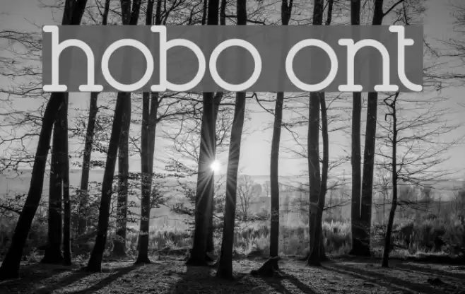 Phobo Font examples