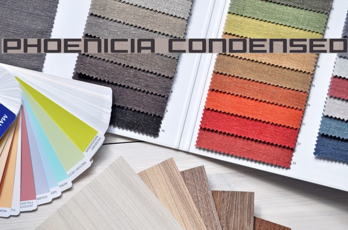 Phoenicia Condensed Font examples