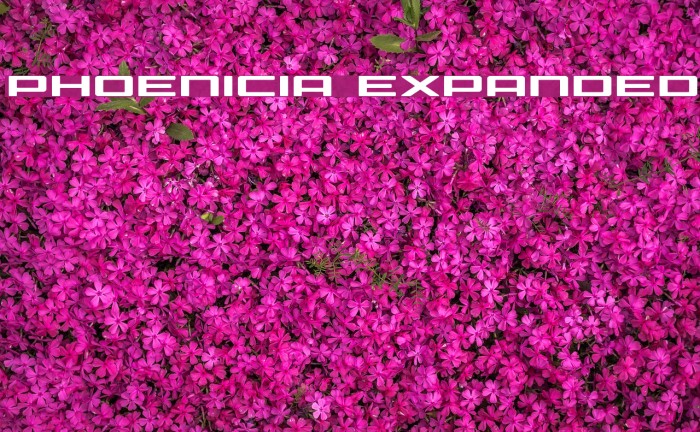 Phoenicia Expanded Font examples