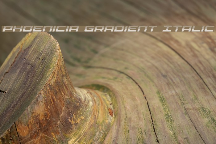 Phoenicia Gradient Italic フォント examples