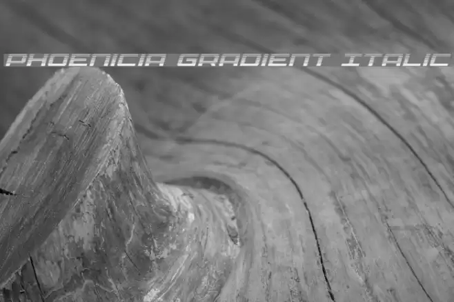 Phoenicia Gradient Italic フォント examples