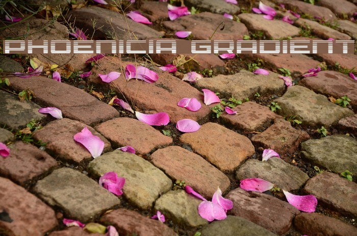 Phoenicia Gradient Font examples