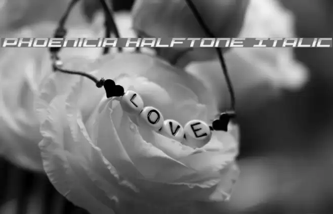 Phoenicia Halftone Italic Font examples
