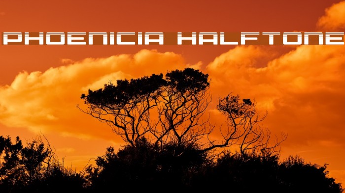 Phoenicia Halftone Example 3