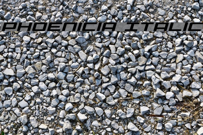 Phoenicia Italic Font examples