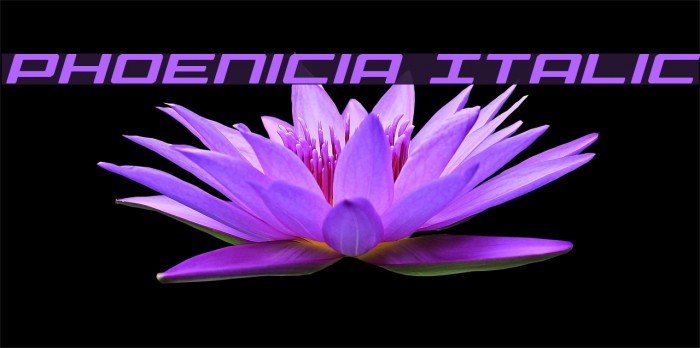 Phoenicia Italic Font examples