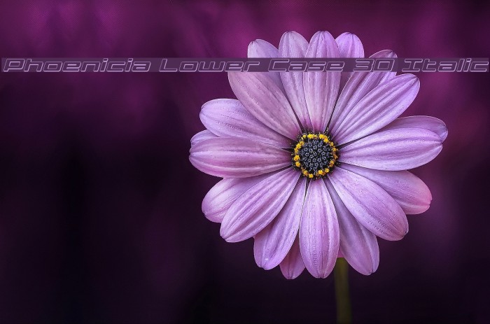 Phoenicia Lower Case 3D Italic Example 1