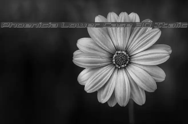 Phoenicia Lower Case 3D Italic Font examples