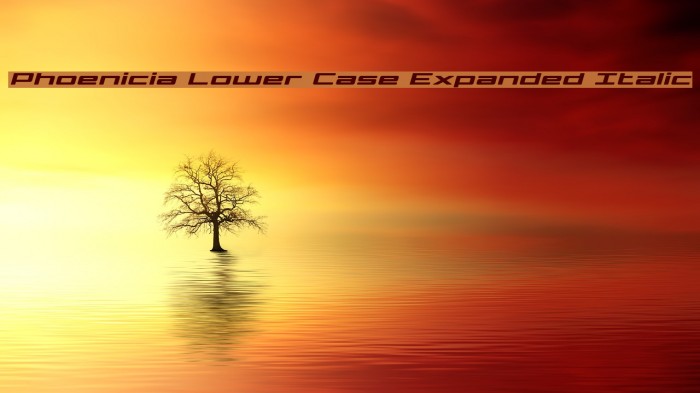 Phoenicia Lower Case Expanded Italic Example 2