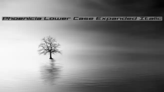 Phoenicia Lower Case Expanded Italic Font examples
