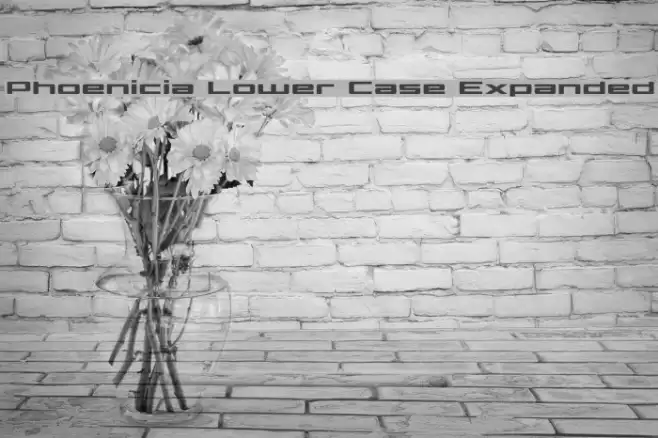 Phoenicia Lower Case Expanded Font examples