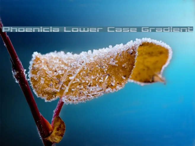 Phoenicia Lower Case Gradient Example 1