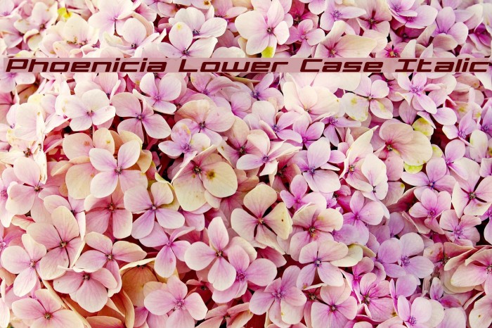 Phoenicia Lower Case Italic Font examples