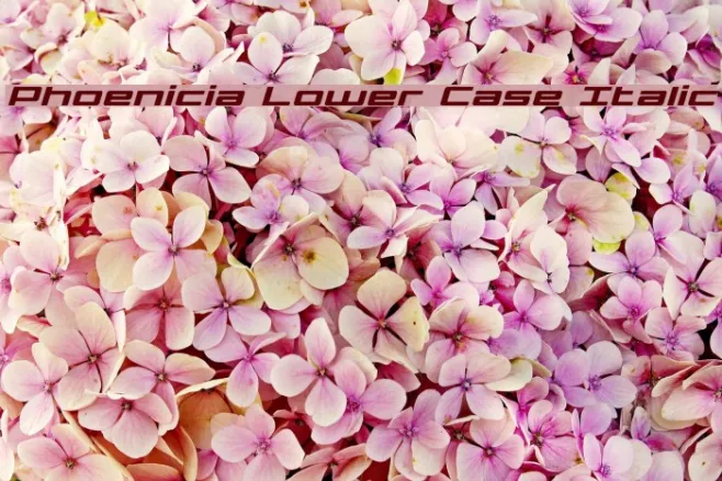 Phoenicia Lower Case Italic Example 1