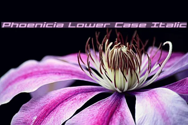 Phoenicia Lower Case Italic Example 2