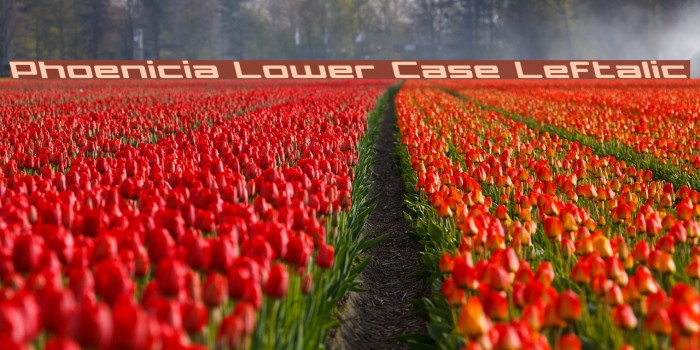 Phoenicia Lower Case Leftalic Font examples