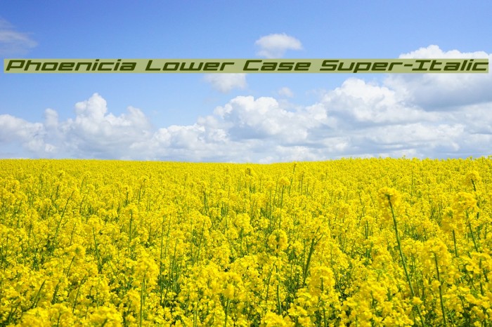 Phoenicia Lower Case Super-Italic Font examples