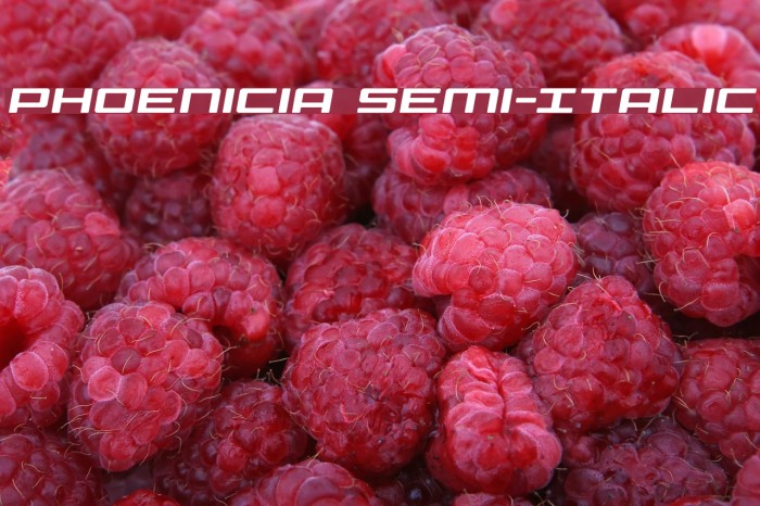 Phoenicia Semi-Italic Font examples
