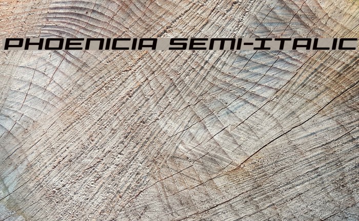 Phoenicia Semi-Italic Font examples