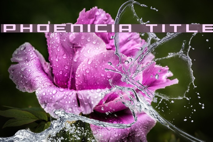 Phoenicia Title Font examples