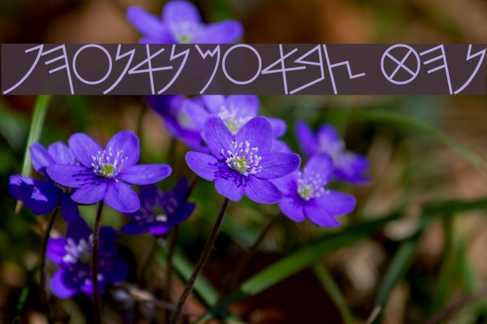 PhoenicianMoabite Thin Font examples