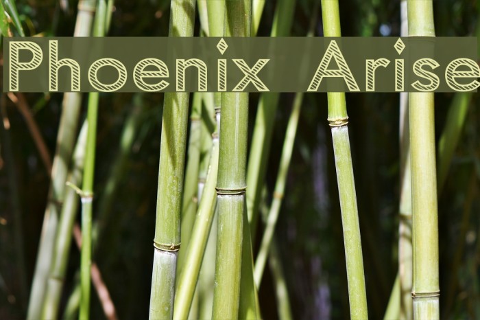 Phoenix Arise Font examples
