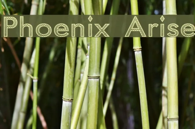 Phoenix Arise Example 1