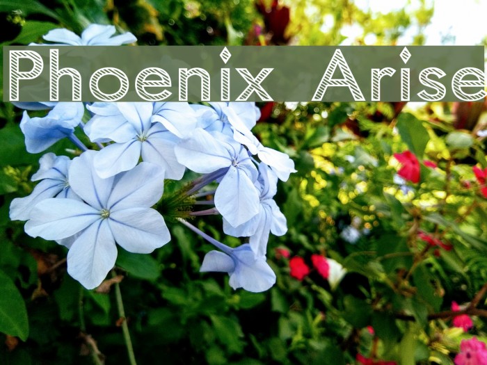 Phoenix Arise Font examples