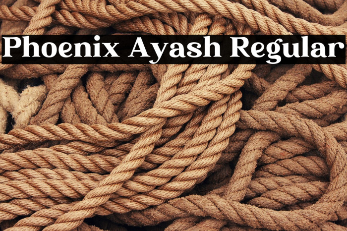 Phoenix Ayash Regular Example 1