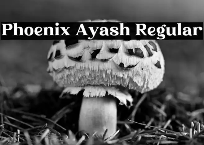 Phoenix Ayash Regular Font examples