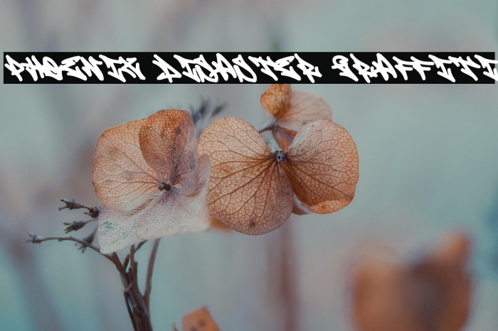 Phoenix Disaster Graffiti Example 2