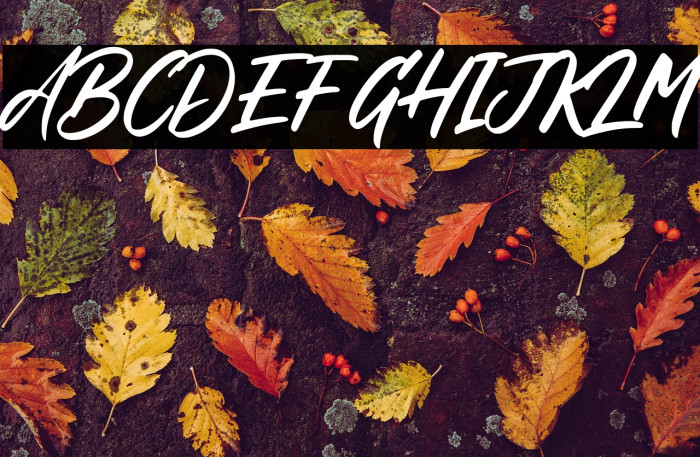 Phoenix Island Example 2