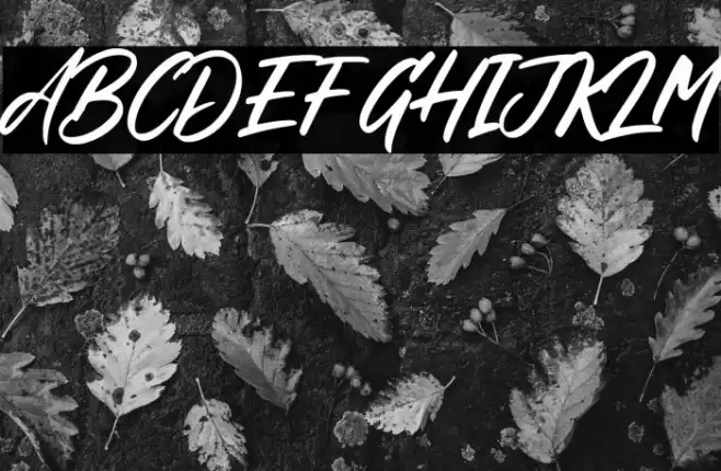 Phoenix Island Font examples