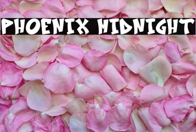 Phoenix Midnight Example 1