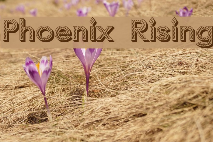 Phoenix Rising Font examples