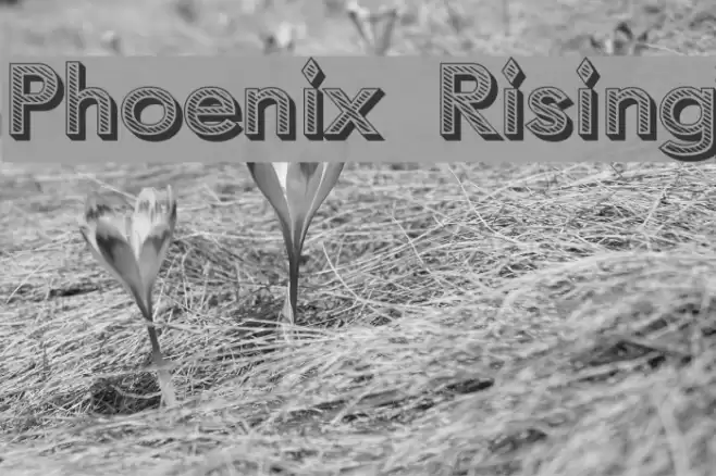 Phoenix Rising Fonte examples
