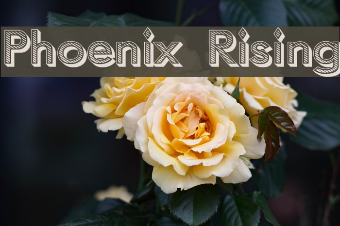 Phoenix Rising Font examples