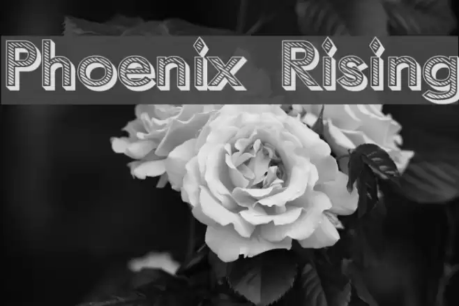 Phoenix Rising Fonte examples