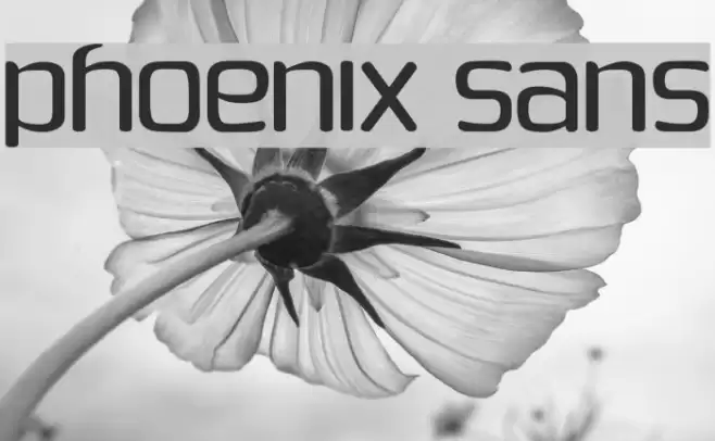 Phoenix Sans Fuentes examples