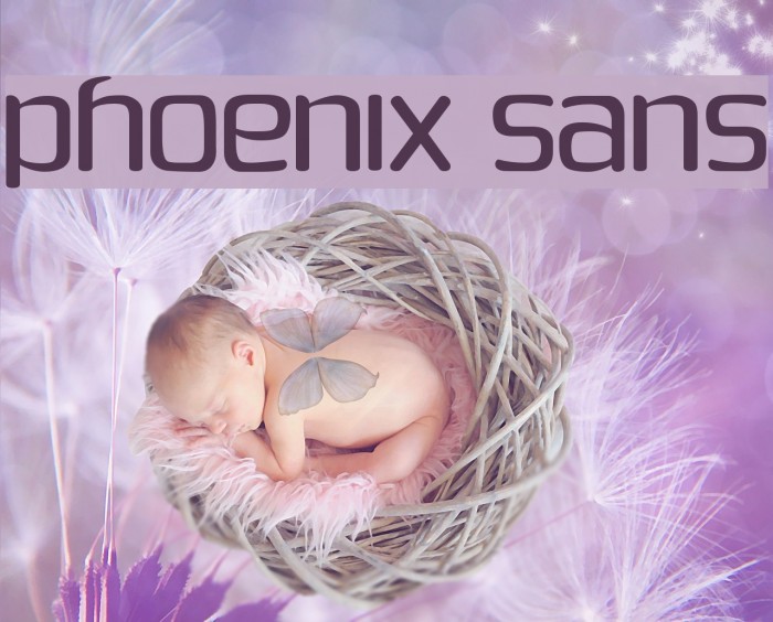 Phoenix Sans フォント examples