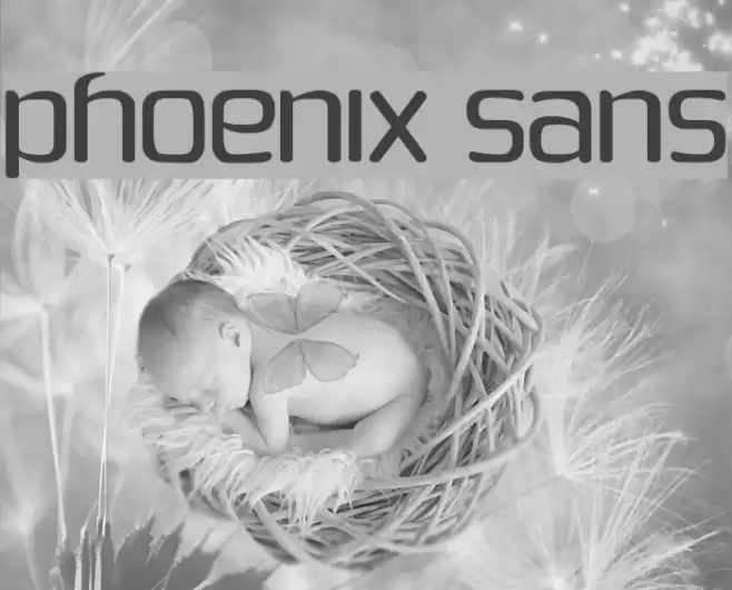 Phoenix Sans Fuentes examples
