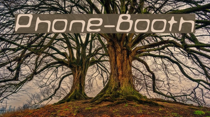 Phone-Booth Font examples