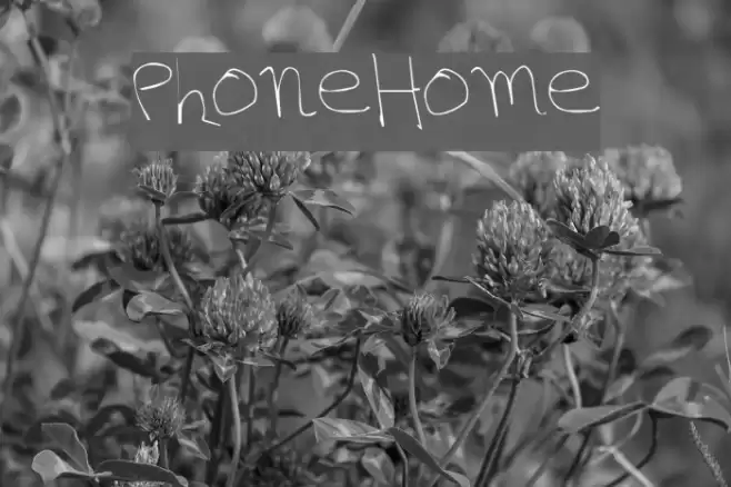 PhoneHome Font examples