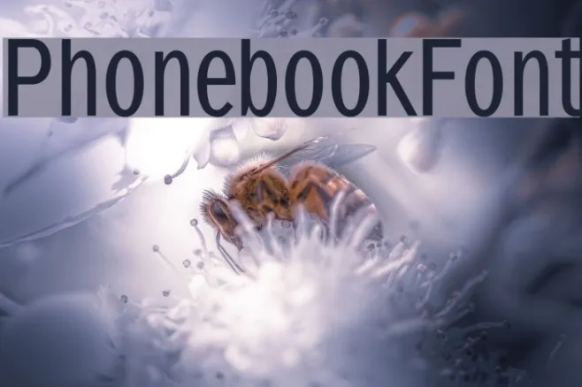 PhonebookFont Example 1